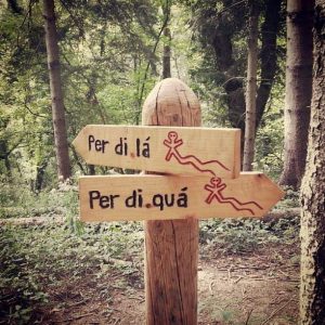 25.5 | Passeggiata notturna alla scoperta dello spirito del bosco