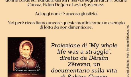 Sara, - My Whole Life Was a Struggle (2015), di Dêrsîm Zêrevan. film documentario