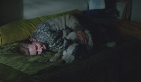 frame del film "Anatomia di una caduta" dove la protagonista è su un divano verde e guarda a un gato; la luce dalla finestra fa capire che è notte.