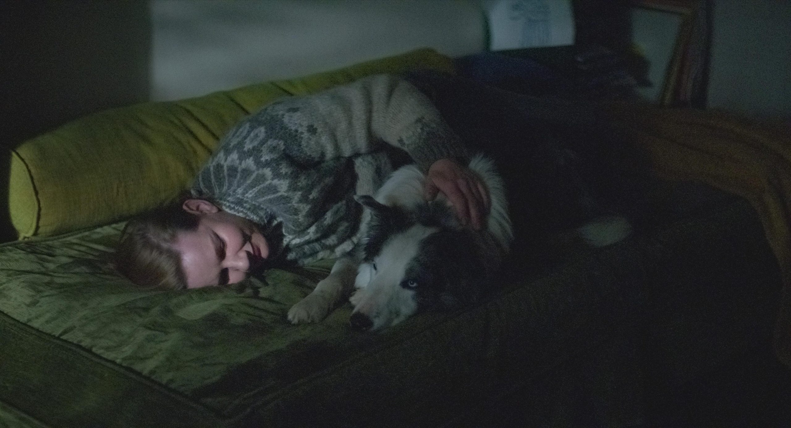 frame del film "Anatomia di una caduta" dove la protagonista è su un divano verde e guarda a un gato; la luce dalla finestra fa capire che è notte.